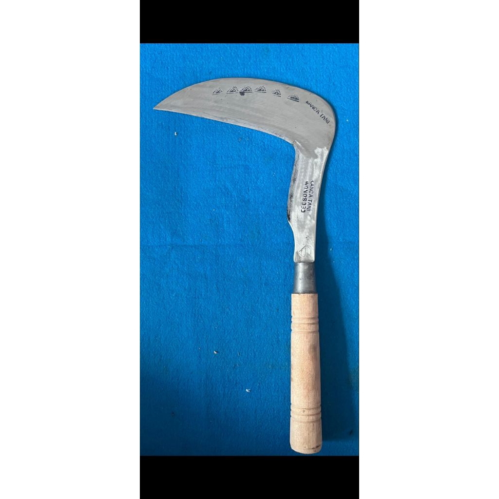 Arit rumput baja isen asli wonosobo model siku
