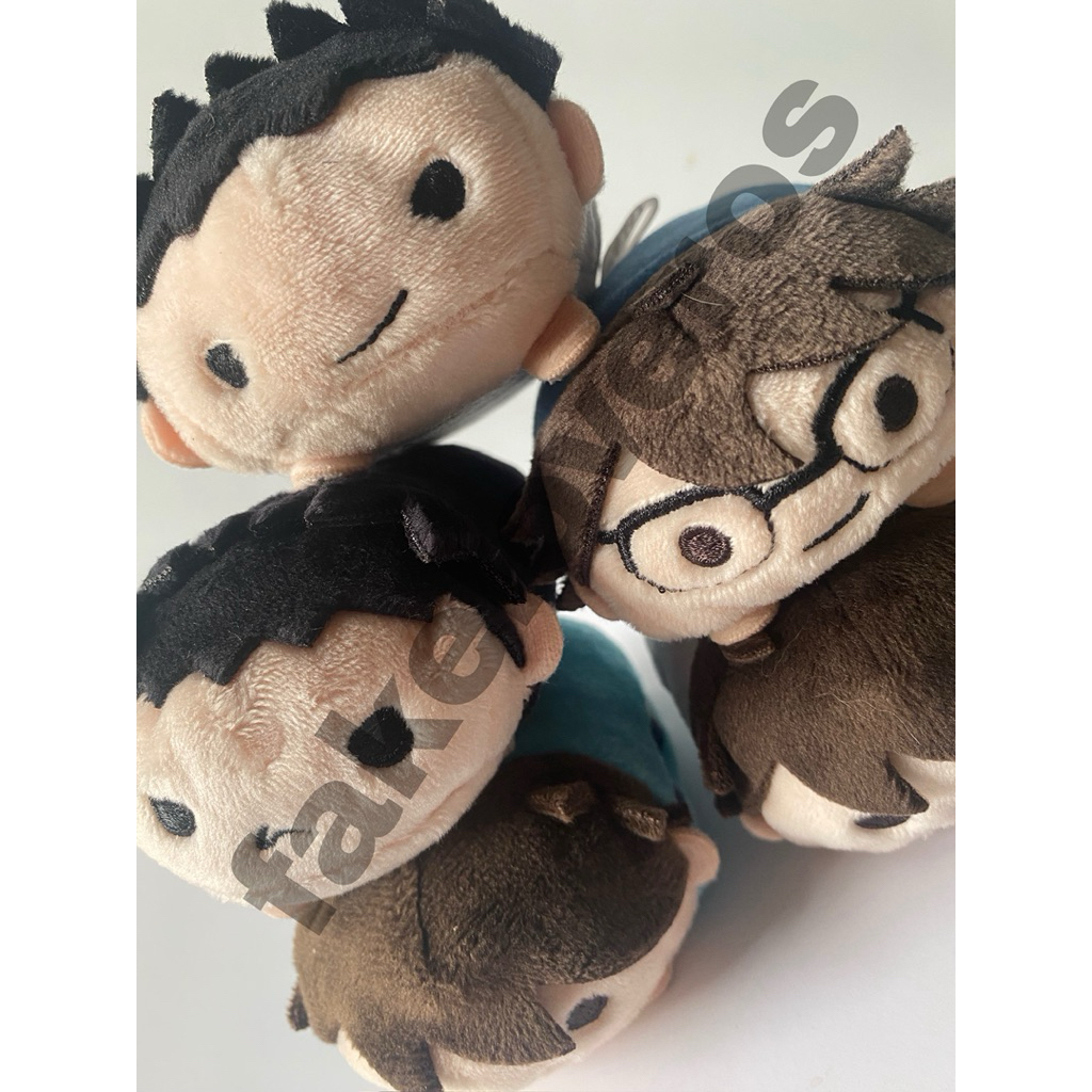 Noru Haikyu Iwaizumi & Oikawa