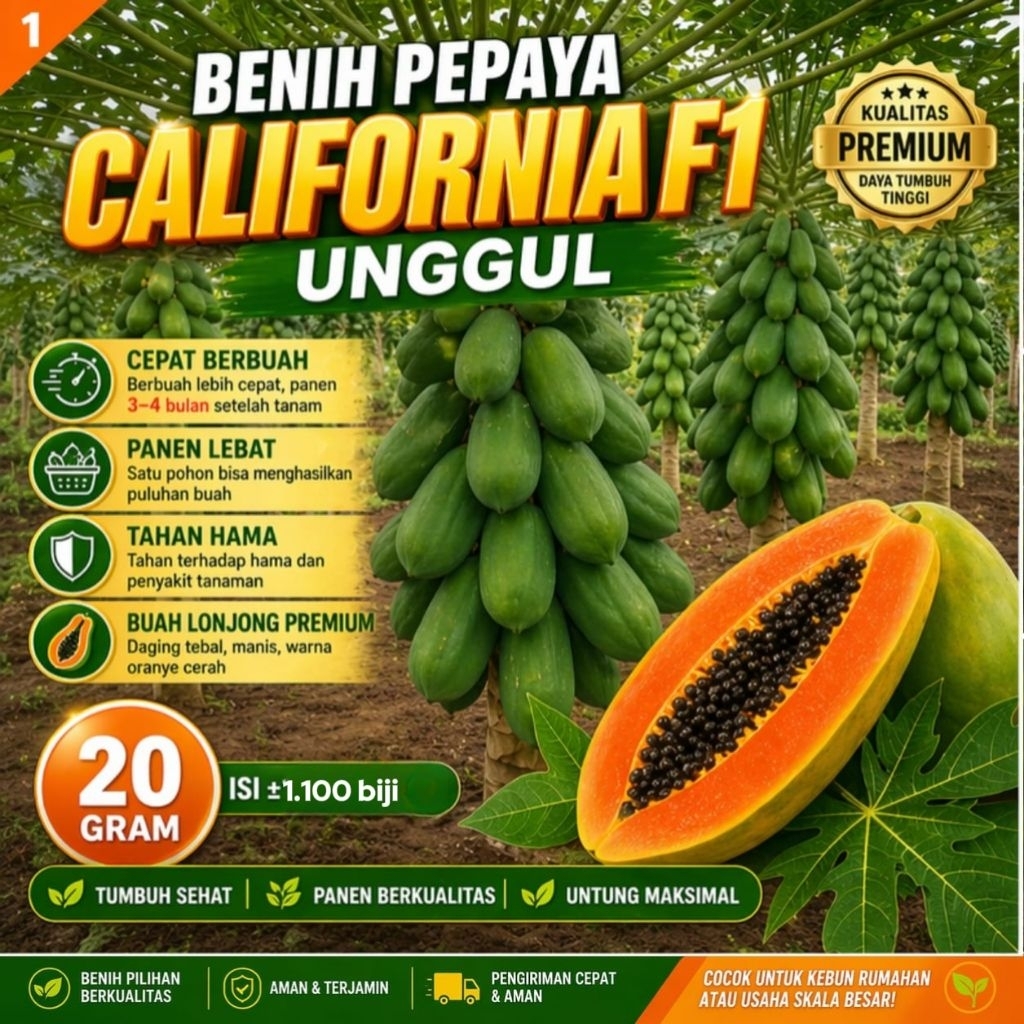 BENIH PEPAYA CALIFORNIA F1 IPB-9 20 GR (±1.100 BIJI) ASLI – CEPAT PANEN – PROMO MURAH