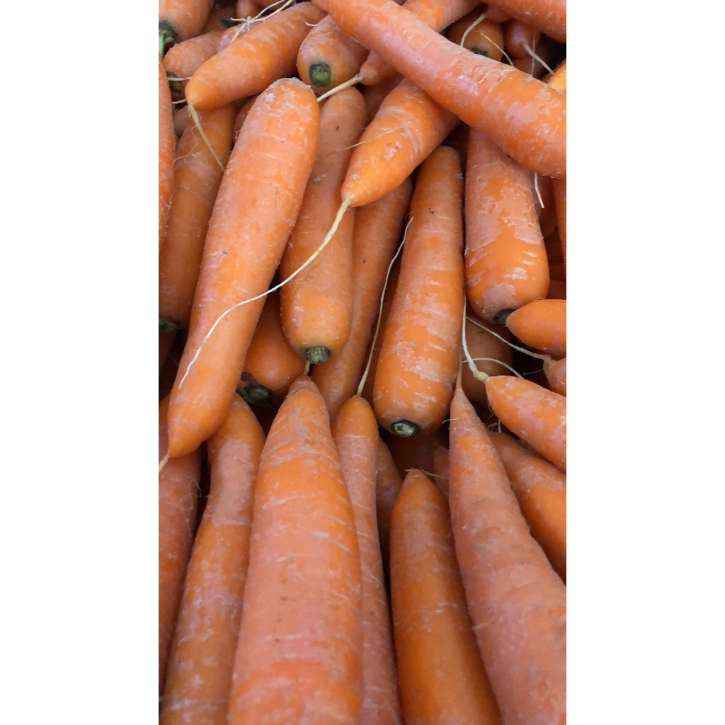 wortel import 1kg
