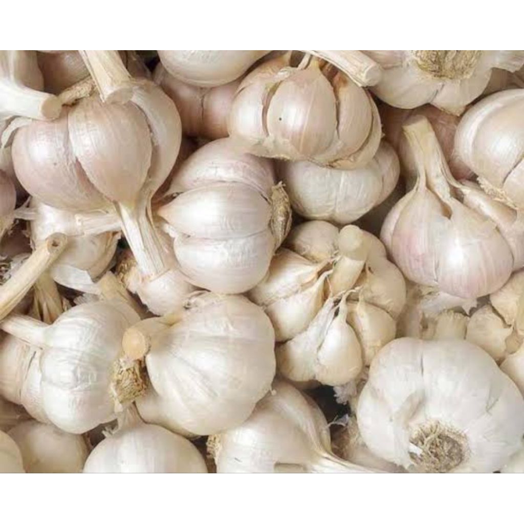 Bawang putih kating bersih 10kg
