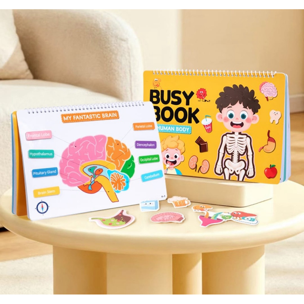 Busy book human body
