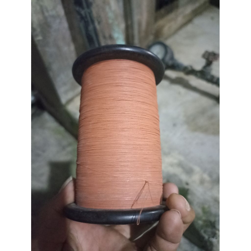 gelasan sapi balap patenang 0,20