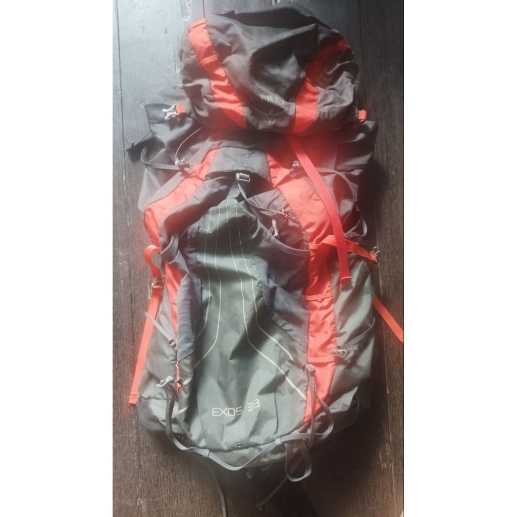 Carrier Osprey Exos 38L