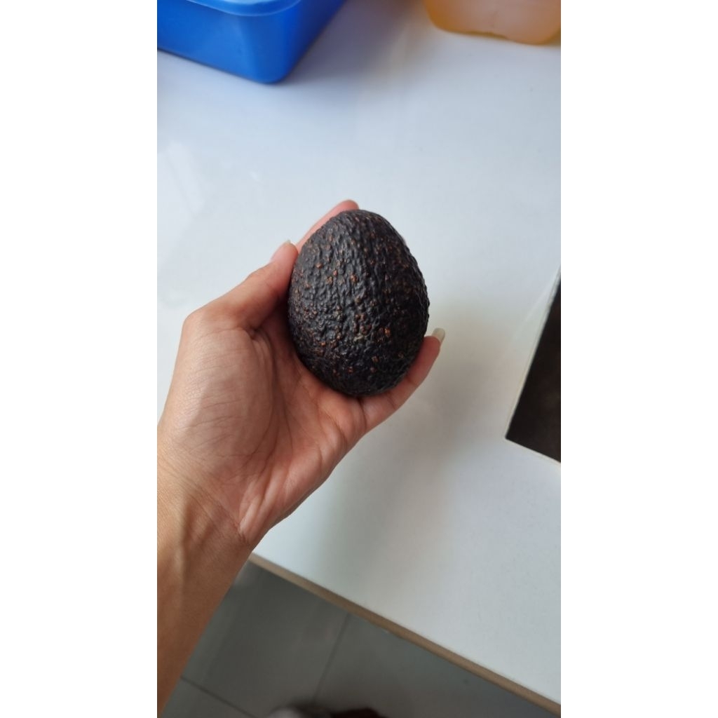 Alpukat premium Hass 1kg