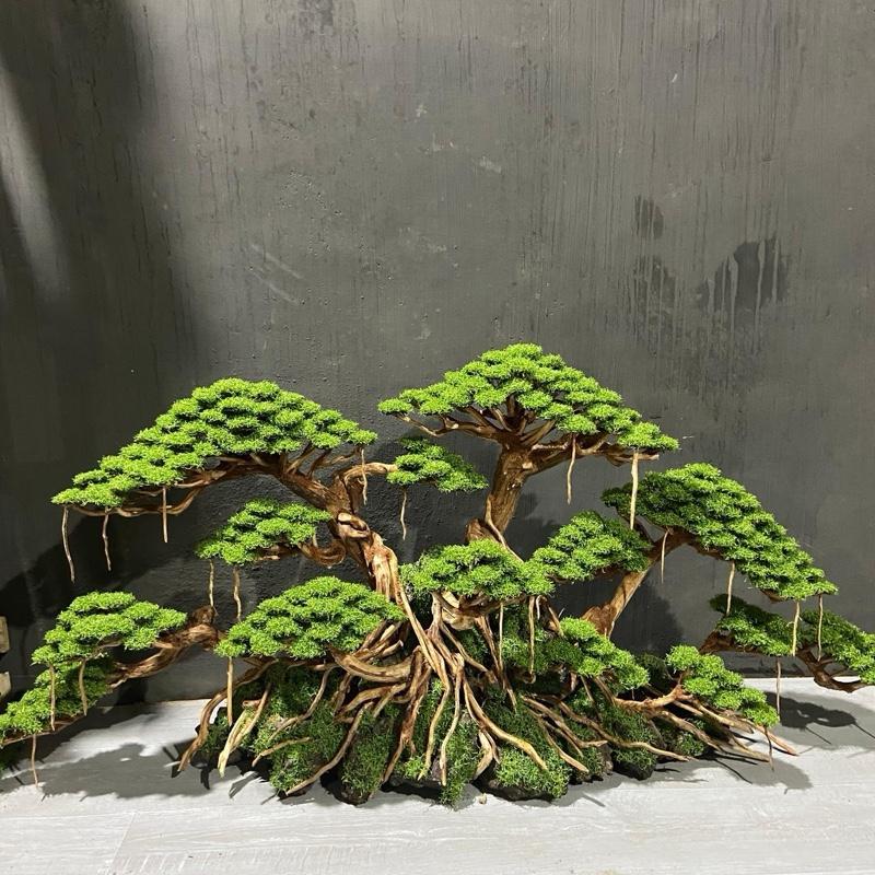 SIZE XXL | Hutan Landscape (Panjang 60CM+++ )| Bonsai Aquarium / Aquascape / Bonsai Artificial - KHU