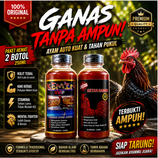 paket Kemin Getah Gambir Ayam Aduan Super Ampuh | Pengeras Kulit & Kaki Ayam Bangkok Juara