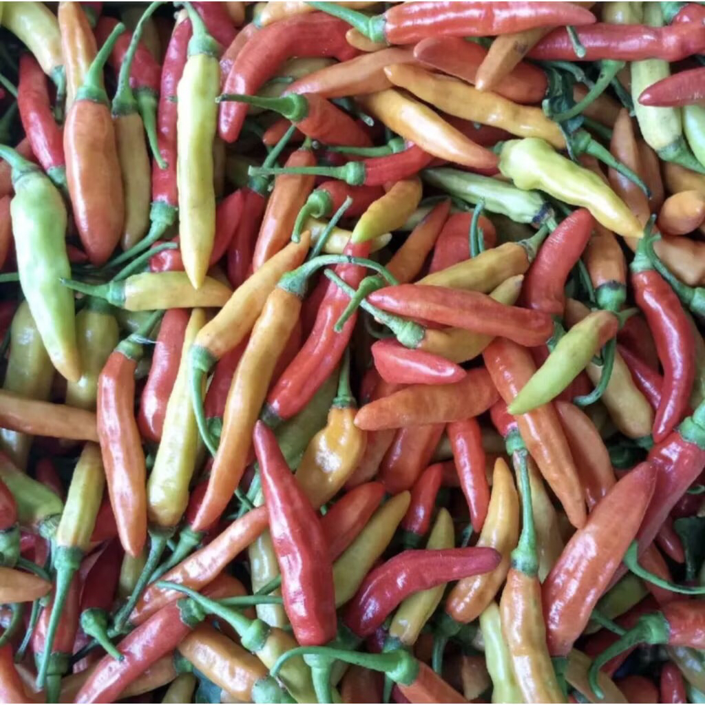 Cabe Rawit Asmoro Fresh Super Pedas | Cabe Rawit Setan 1kg