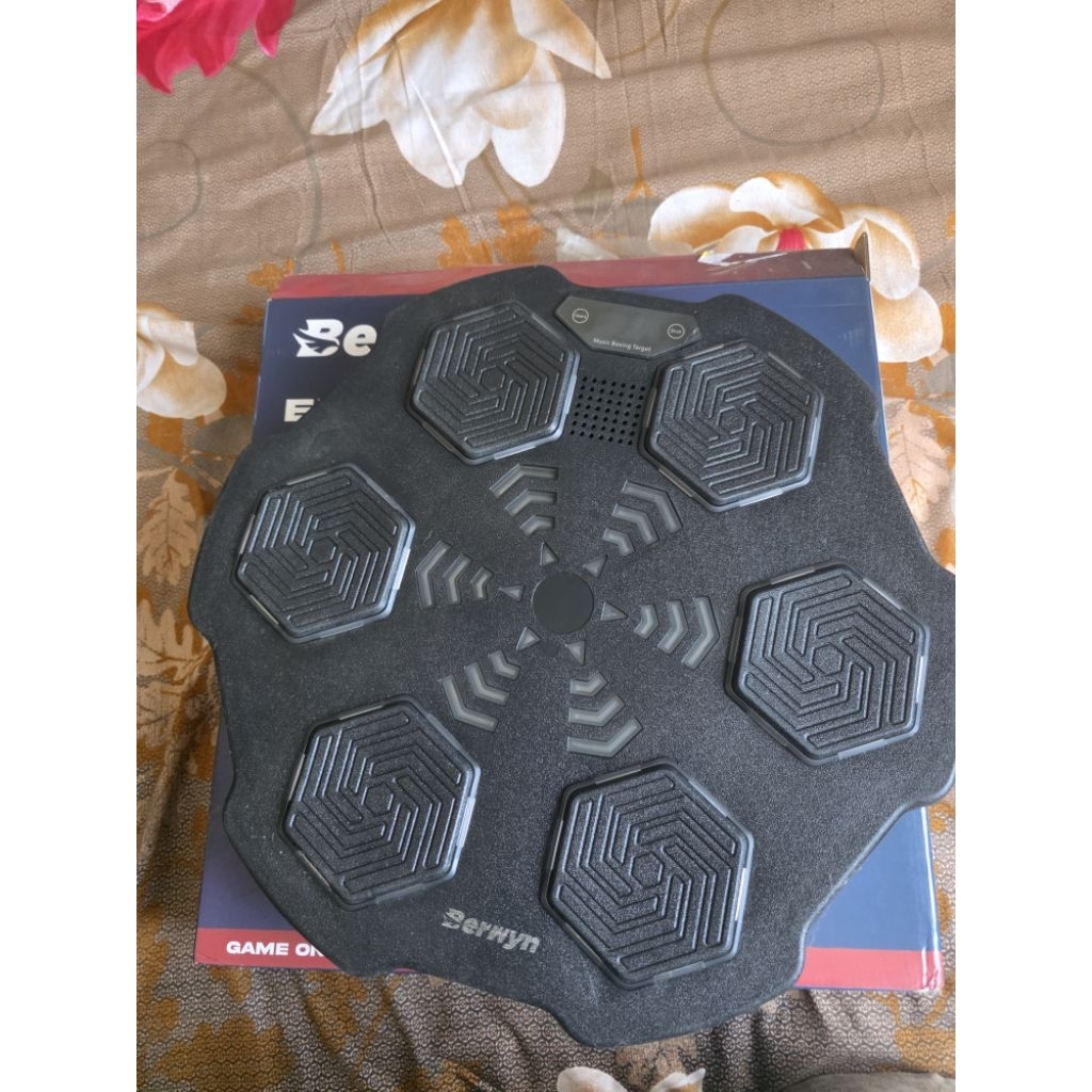 berwyn electronik boxing target (bekas)