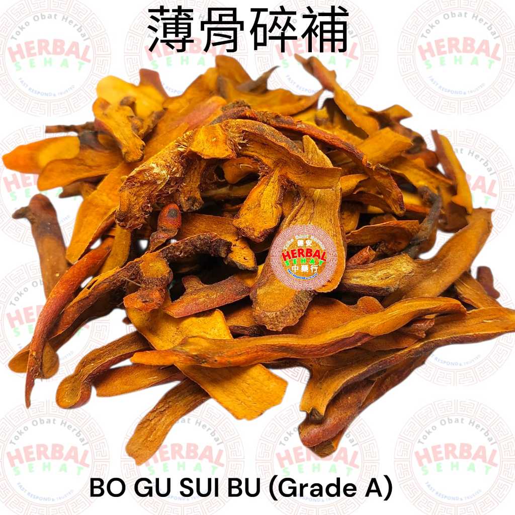 Grade A Gu Sui Bu 50 gram / Drynaria Rhizome - Radix Drynariae Gu Shui Bu Pu