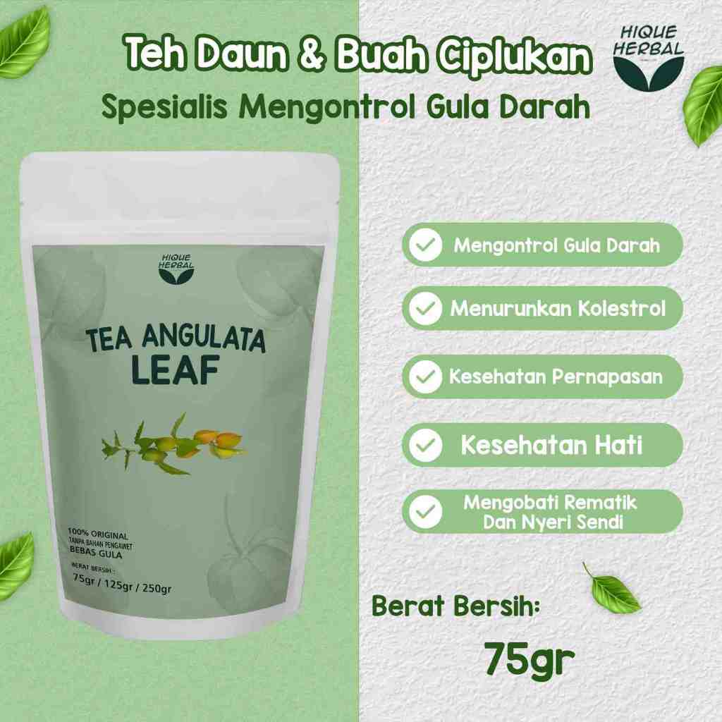 TEH HERBAL AMPUH DAUN CIPLUKAN/CECENDET | 100% Asli Daun Ciplukan