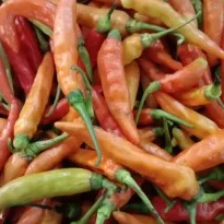 Cabe / Cabai Rawit Merah 1kg