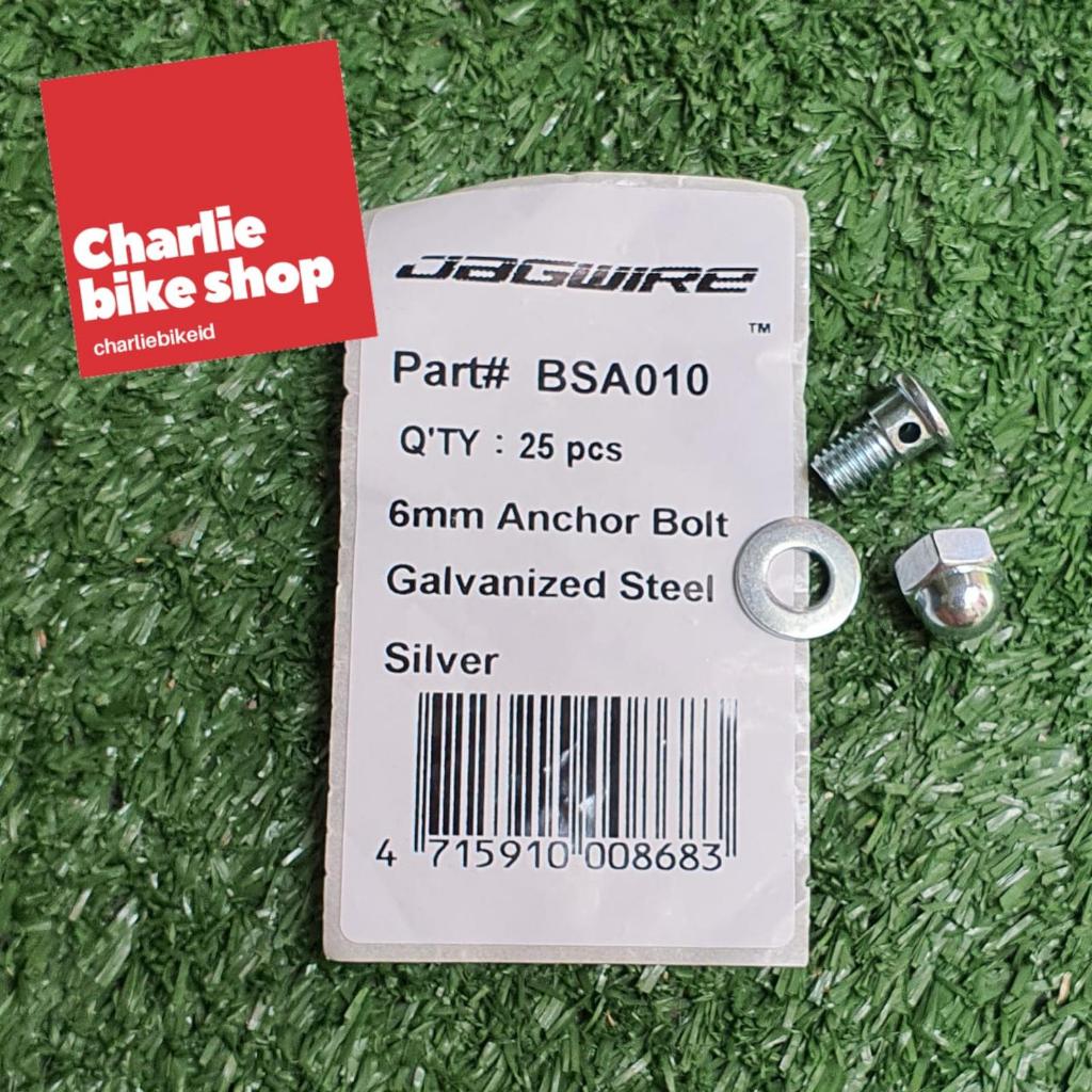 JAGWIRE 6mm Anchor Bolt Galvanized Steel Silver BSA010