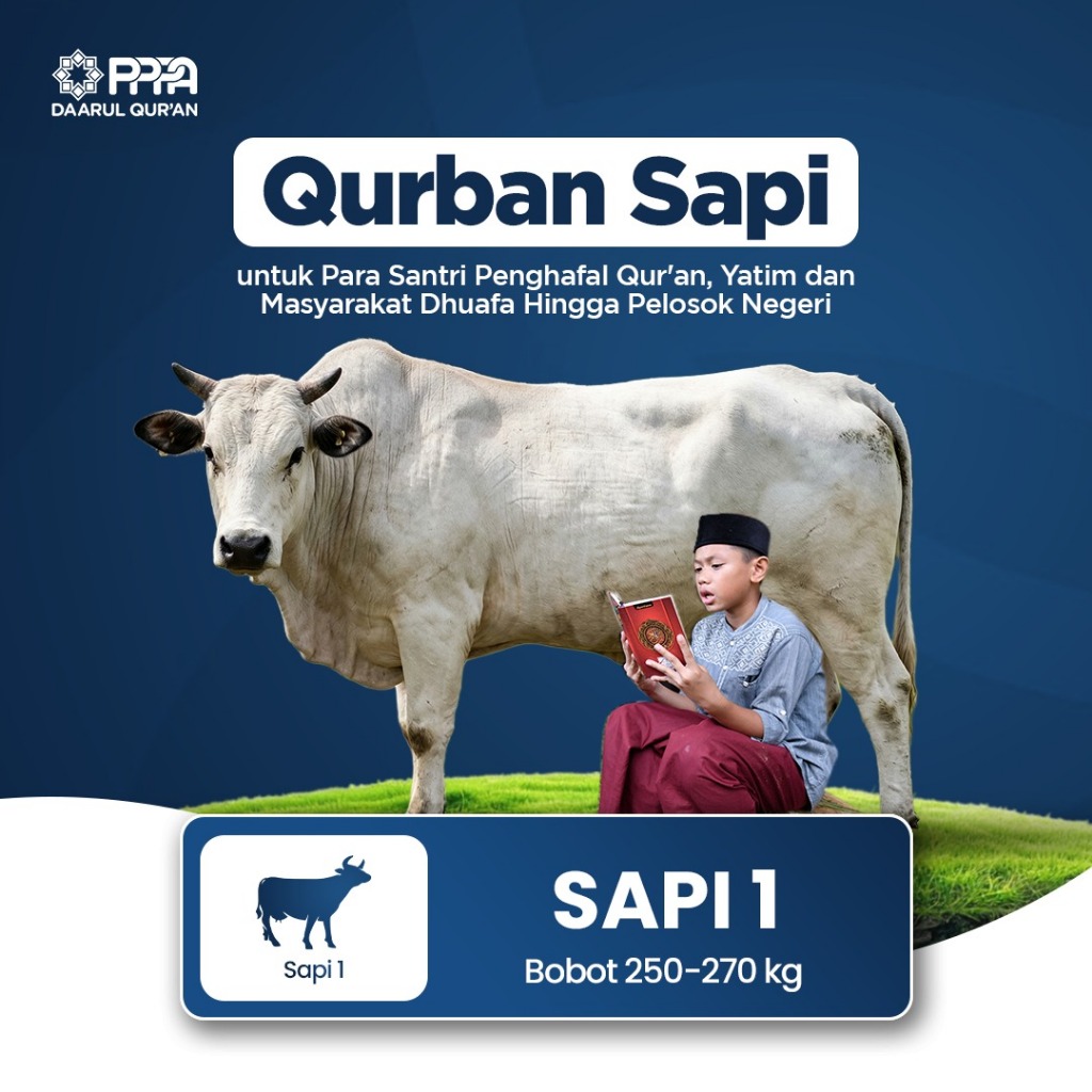 Qurban Sapi