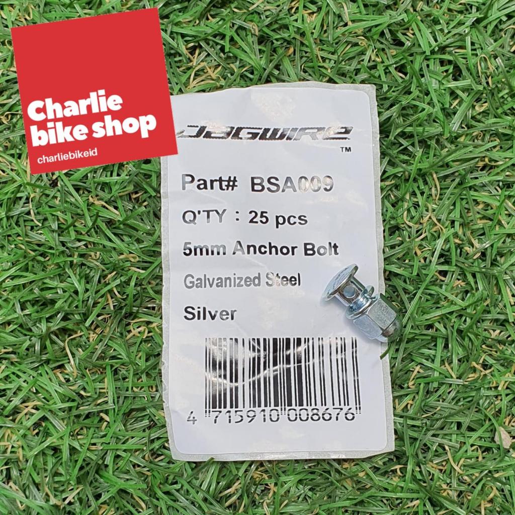 JAGWIRE 5mm Anchor Bolt Galvanized Steel Silver BSA009