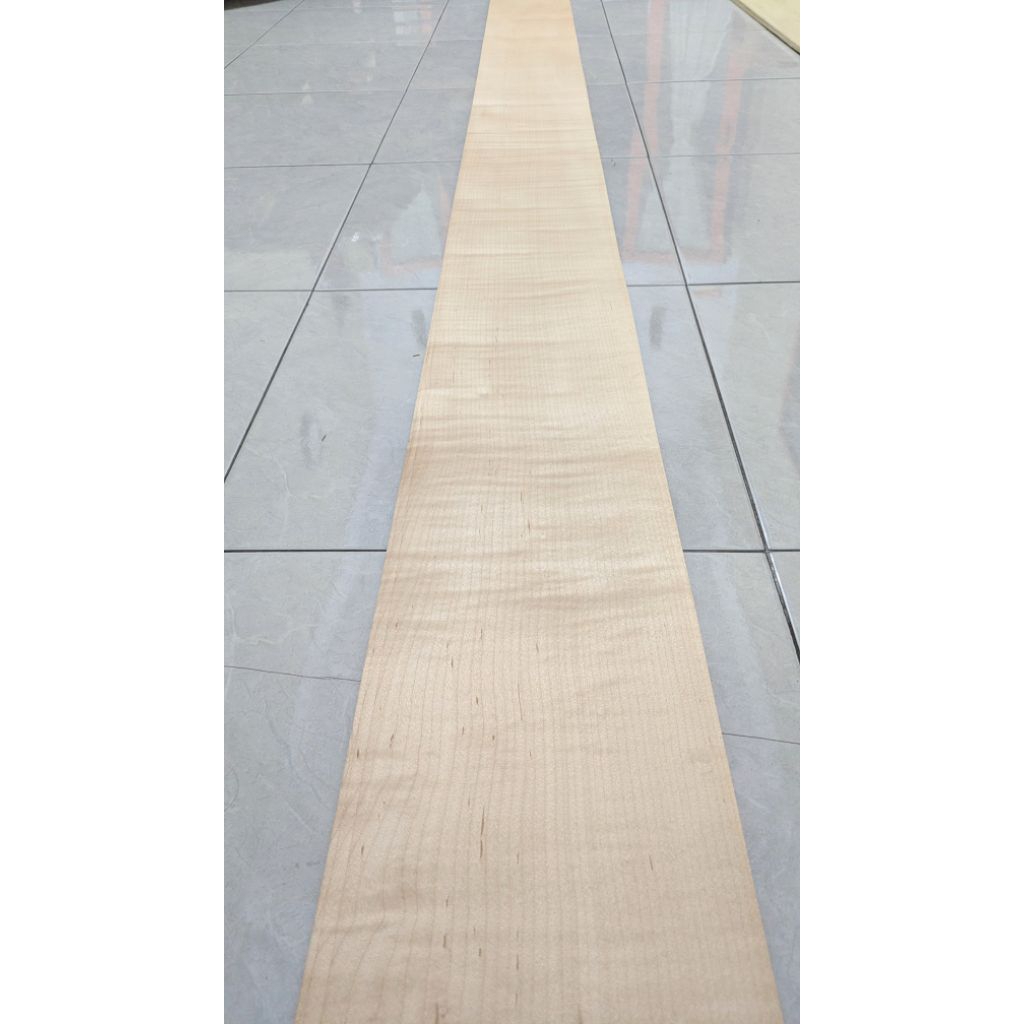 veneer Maple figure lurus lebar 19cm