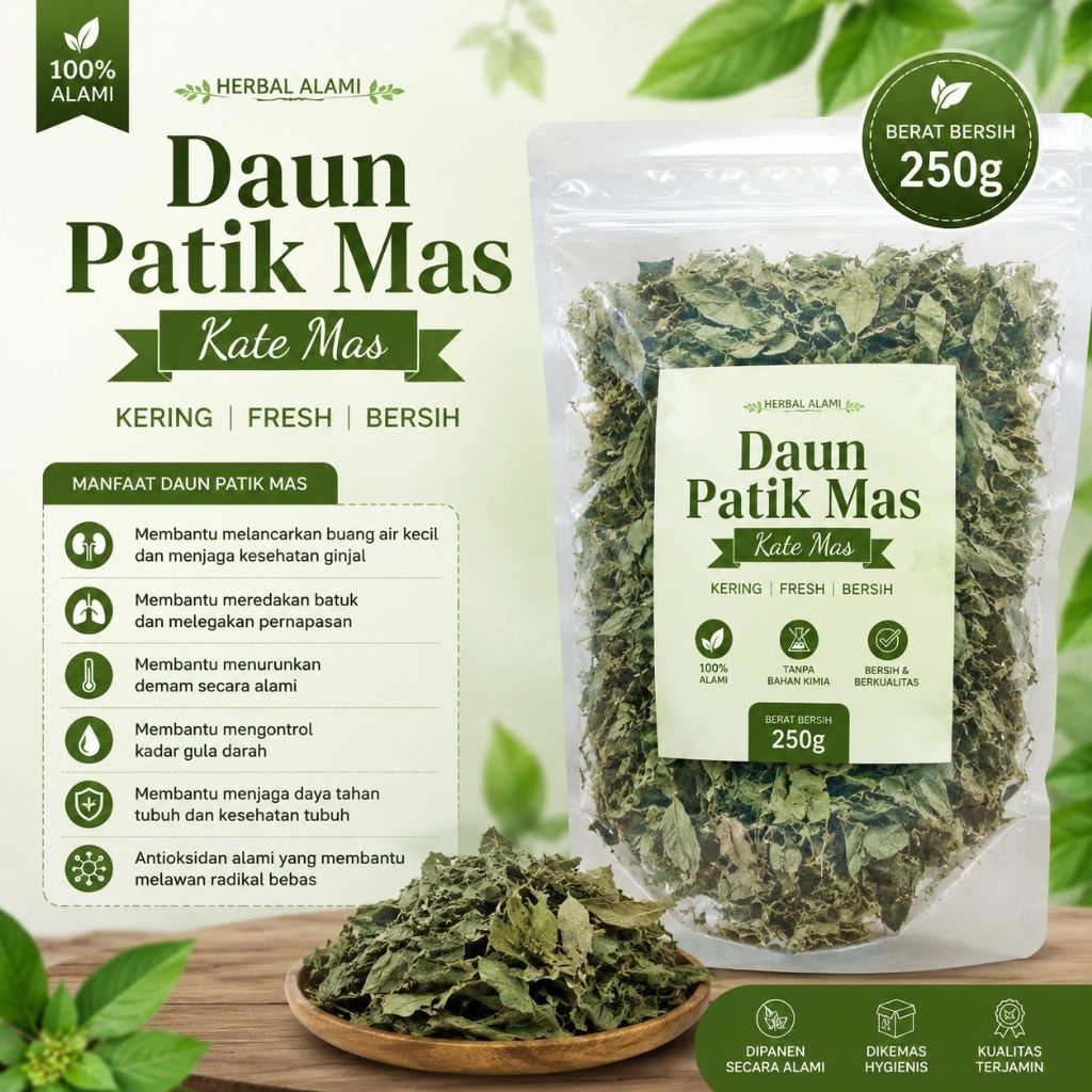Daun Patik Mas Kering 250g Herbal Alami Kate Mas Bersih Siap Seduh