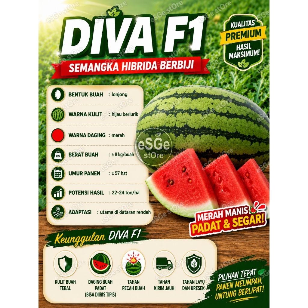 Benih Semangka Lonjong Daging Merah DIVA Bintang Asia 20Gr