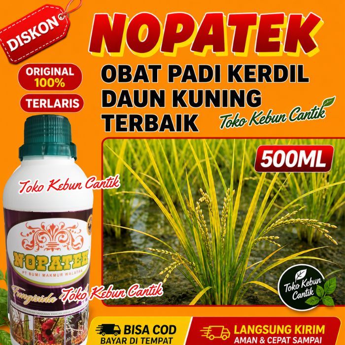 Obat Semprot Padi Daun Kuning Ampuh | NOPATEK Untuk Semua Jenis Tanaman