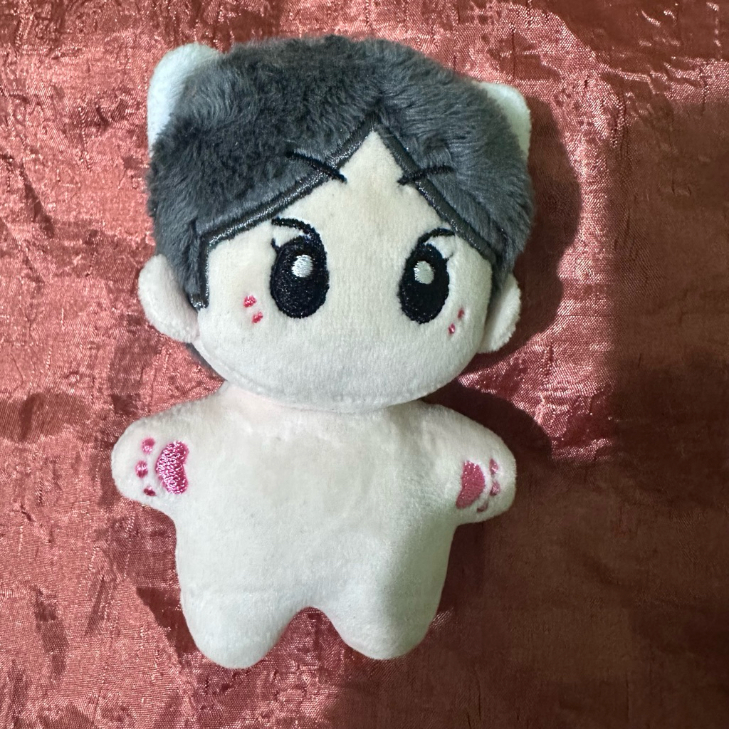 Lilwon 10cm (boneka jungwon)