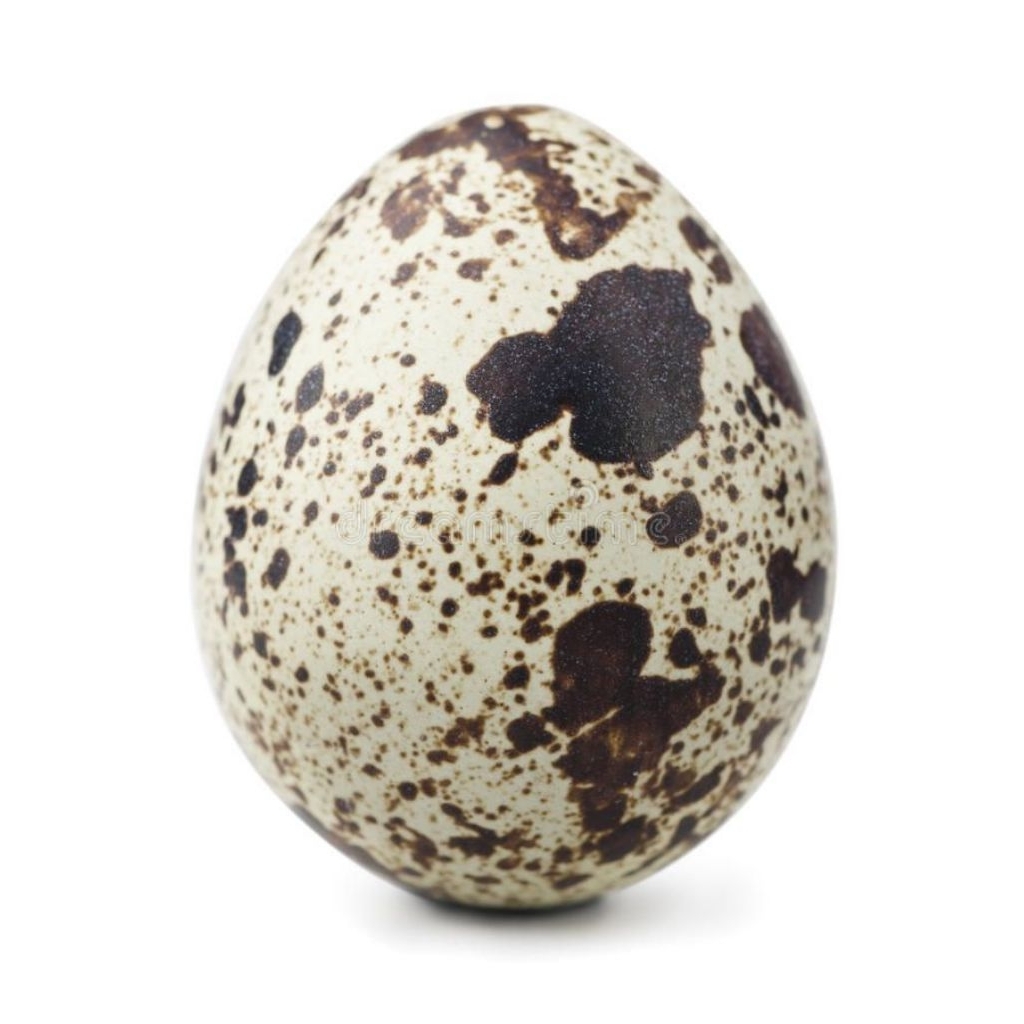 Telur Puyuh Mateng