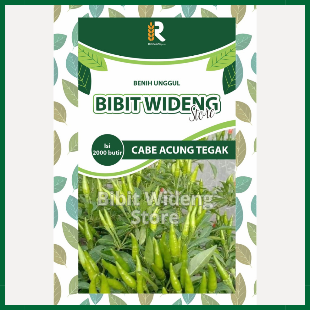 ( 2.000 BENIH ) CABE RAWIT ACUNG CAPLAK | RAWIT TEGAK | RAWIT HIJAU ACUNG TEGAK