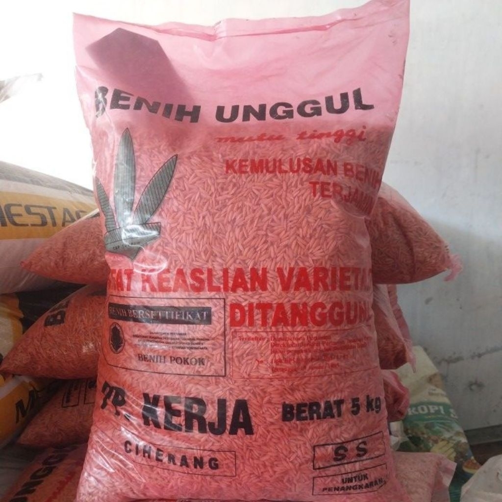 Benih padi PP kerja varietas ciherang 5kg