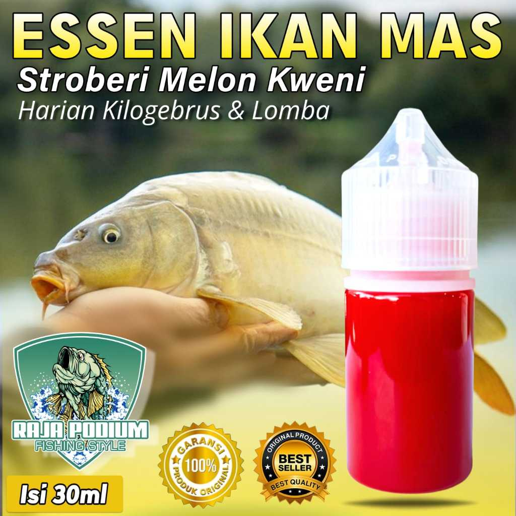 Essen Ikan Mas Paling Gacor Aroma Stroberi Melon Kweni, Essen Ikan Mas, Essen Ikan Mas Harian, Essen