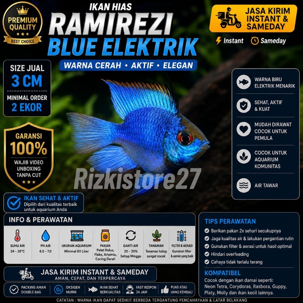 Ikan Hias Ramirezi Blue Elektrik Size 3 Cm Aquarium Aquascape