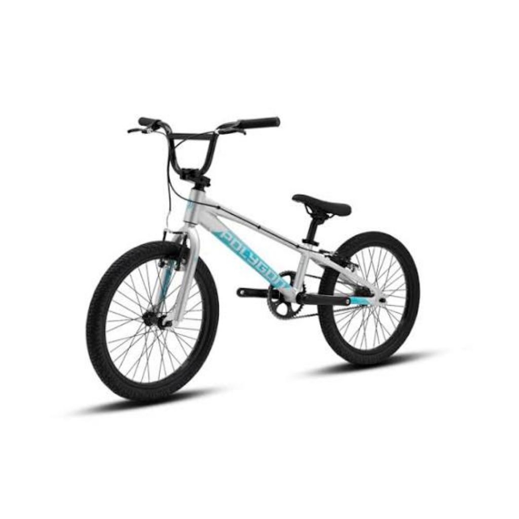 POLYGON BMX 20 ROGUE ORIGINAL