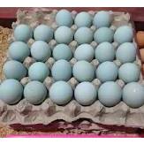 Telur Itik Jawa