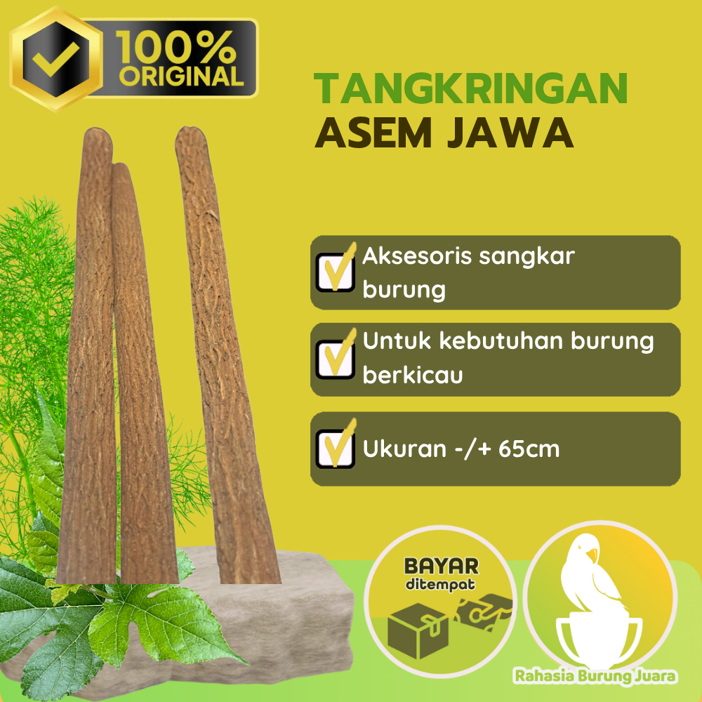 Tangkringan Burung Kayu Asem Jawa 65cm D14mm Tenggeran Murai Batu Kacer Tangkringan Sangkar