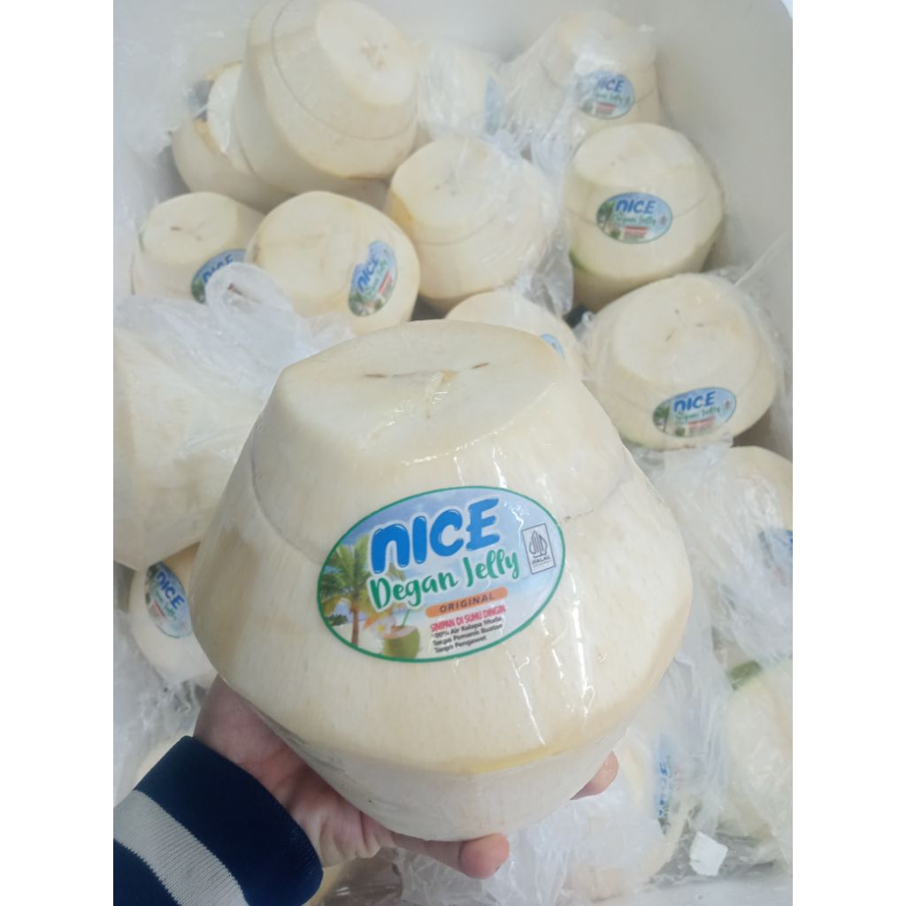 degan jelly kelapa jelly