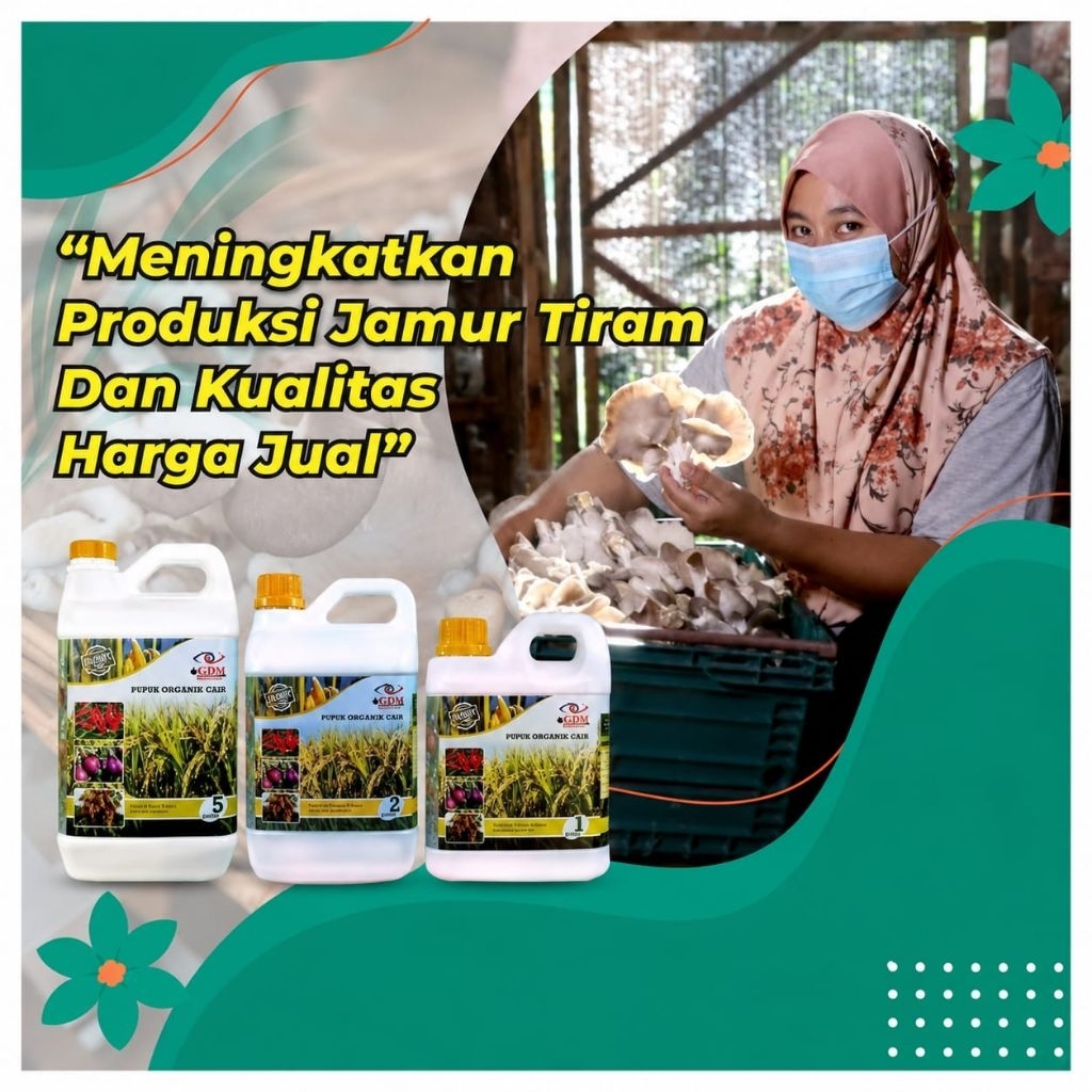 Pupuk Organik Cair GDM untuk Jamur