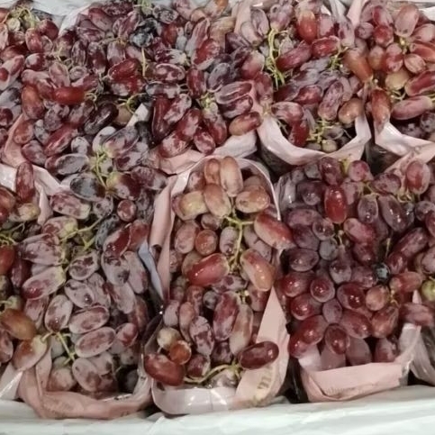 Buah Anggur long Crimson merah import / dus