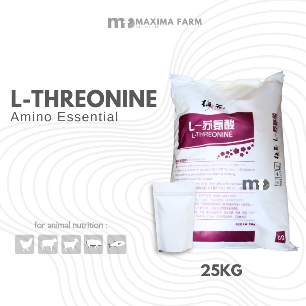 L THREONINE 1 KG MEIHUA UNGU - Threonine Asam Amino ternak 25 kg - L threonin - Asam amino untuk ung