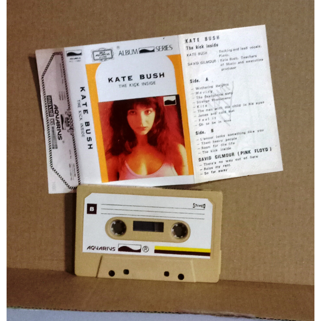 KATE BUSH - THE KICK INSIDE - Kaset