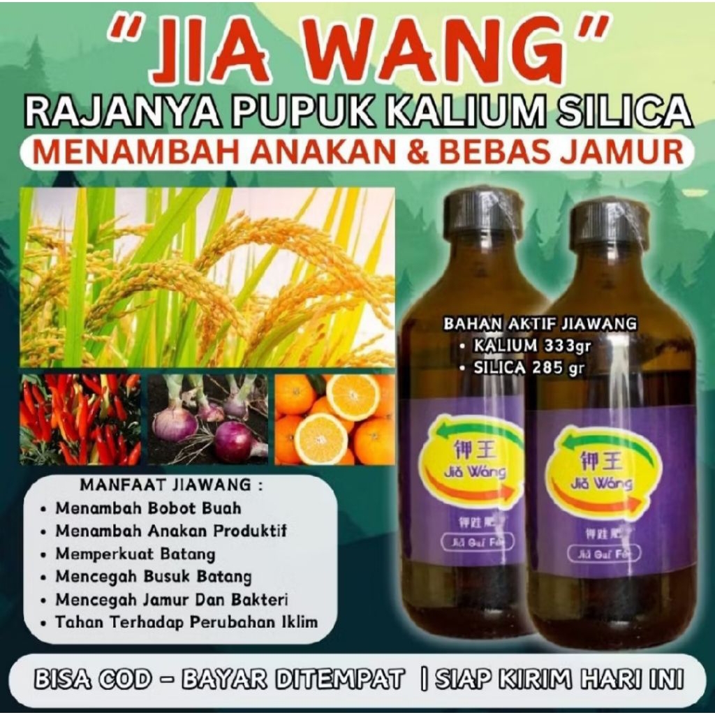 JIA WANG Rajanya Kalium Silika Murni Original Pupuk Padi Cair untuk menambah BOBOT dan Anakan Produk