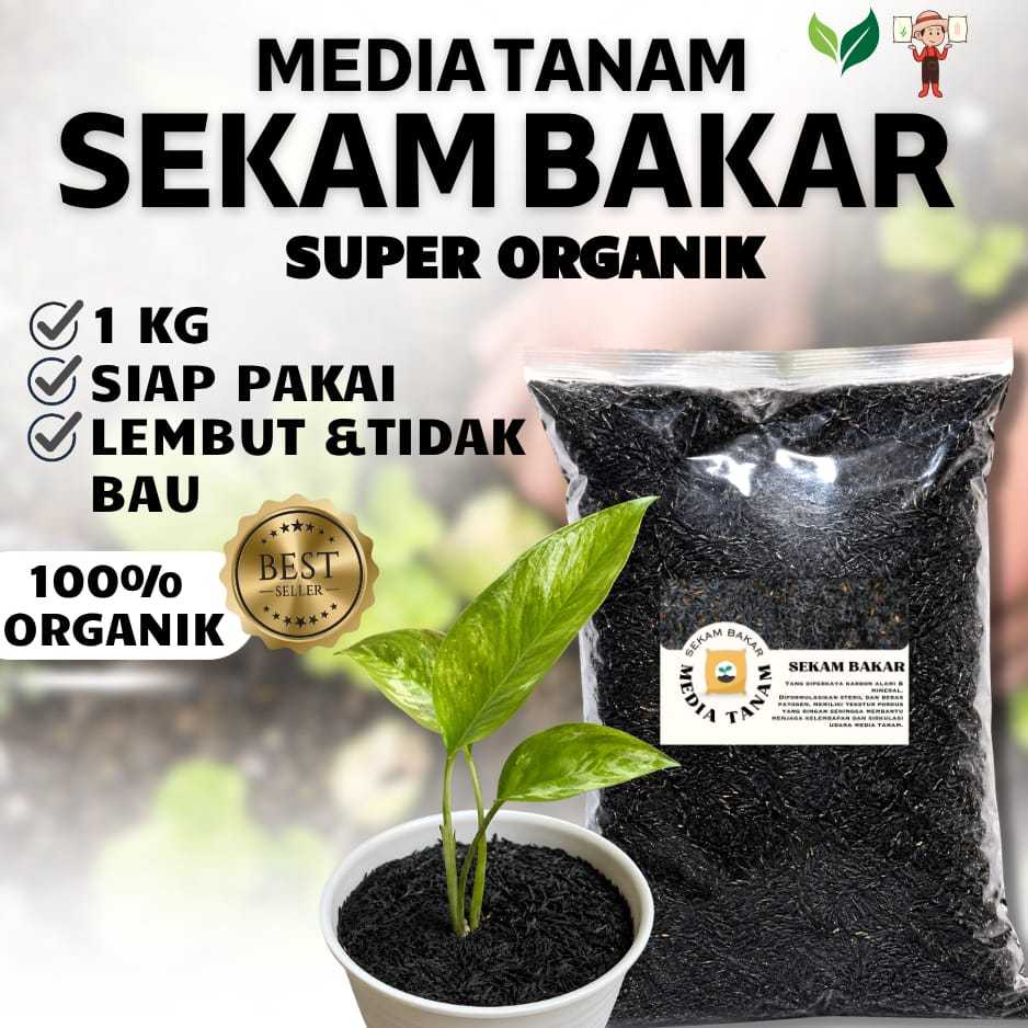 Sekam Bakar Murni 1kg Media Tanam Arang Padi Halus Tanpa Abu