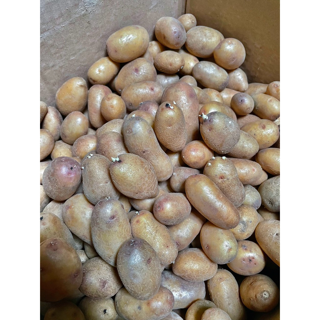 G0 GRANOLA L HARGA MERAKYAT UNTUK PETANI