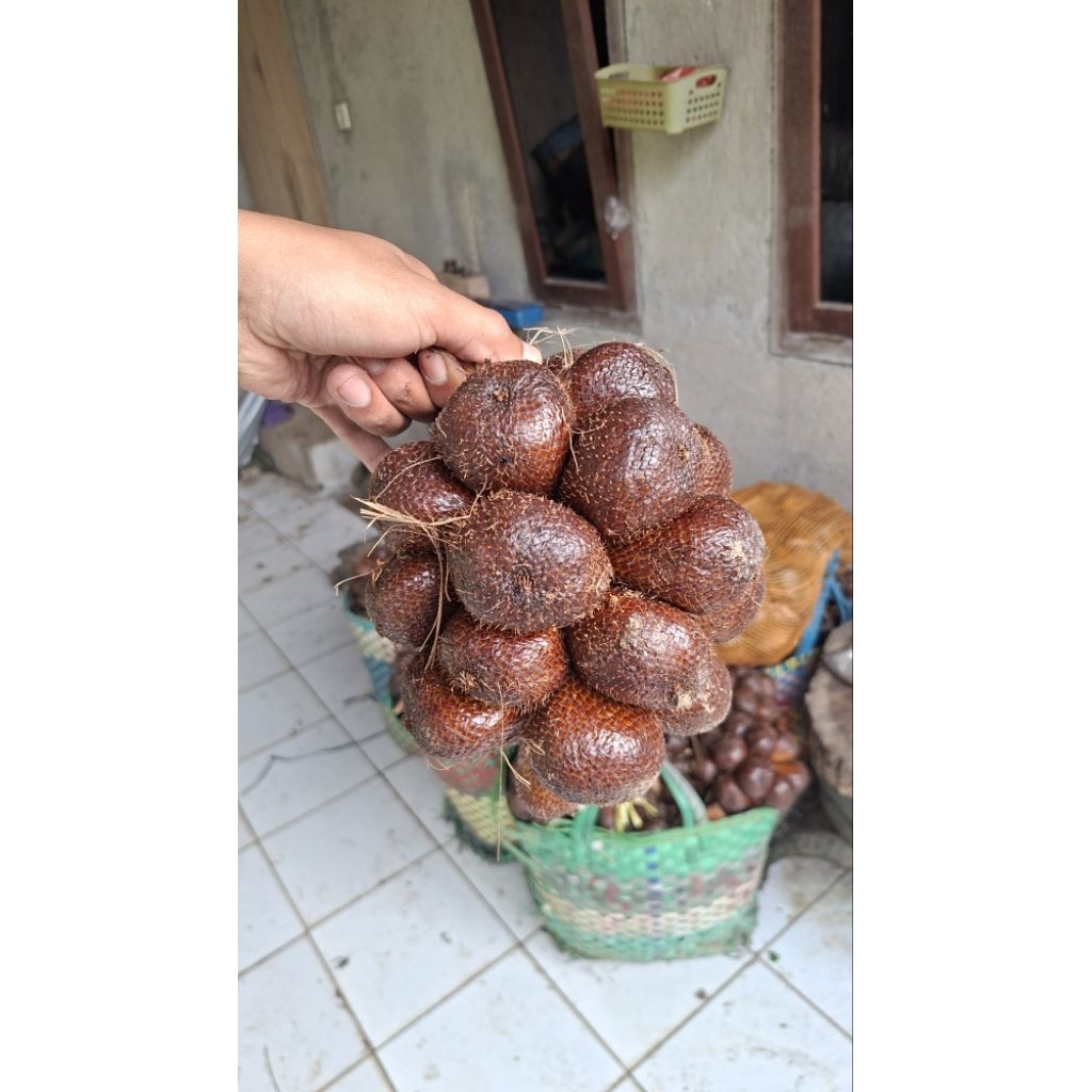 Salak Pondoh Asli Banjarnegara segar dan manis