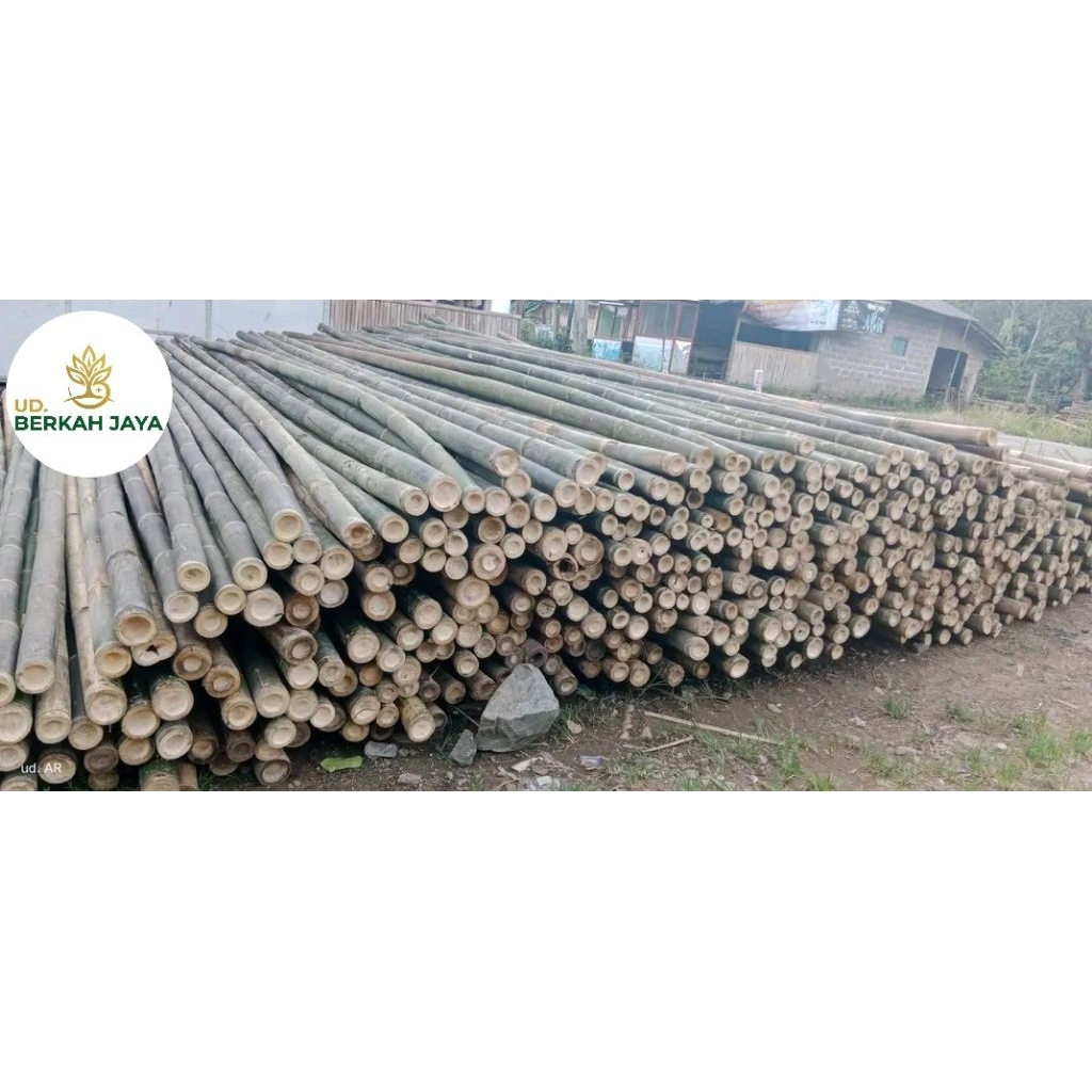 Bambu Steger diameter 6cm~8cm panjang 6 meter (isi 100 Batang)