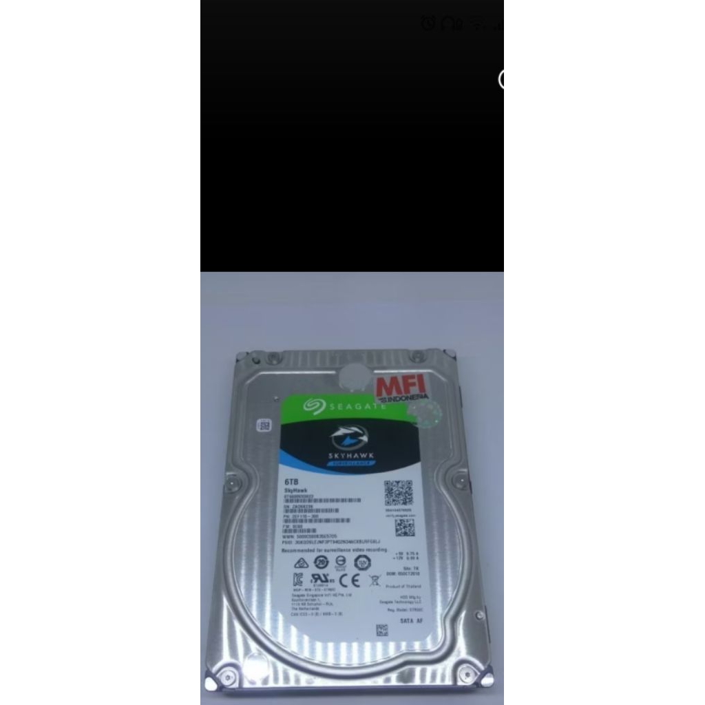 Hard Disk Seagate Skyhawk CCTV 6TB MFI