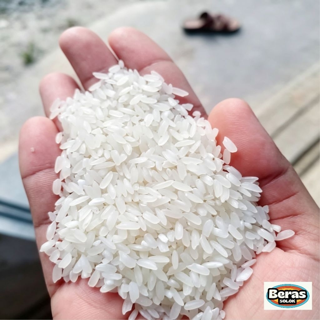 1 Kg Beras Solok/Beras Solok Super/Beras Solok Premium/Beras Sokan Asli Solok-Sumatera Barat