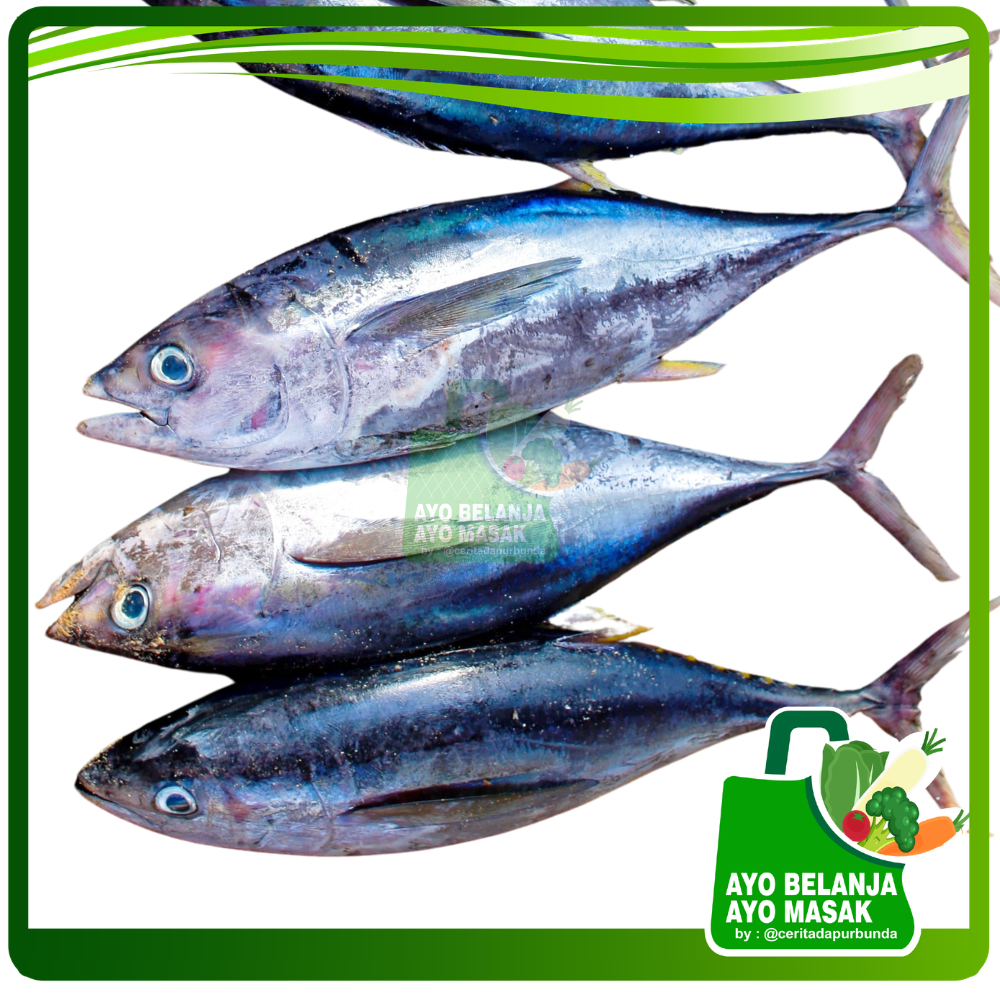 IKAN TUNA SEGAR Per 500 gram [Ayo Belanja - Sayur Jogja]