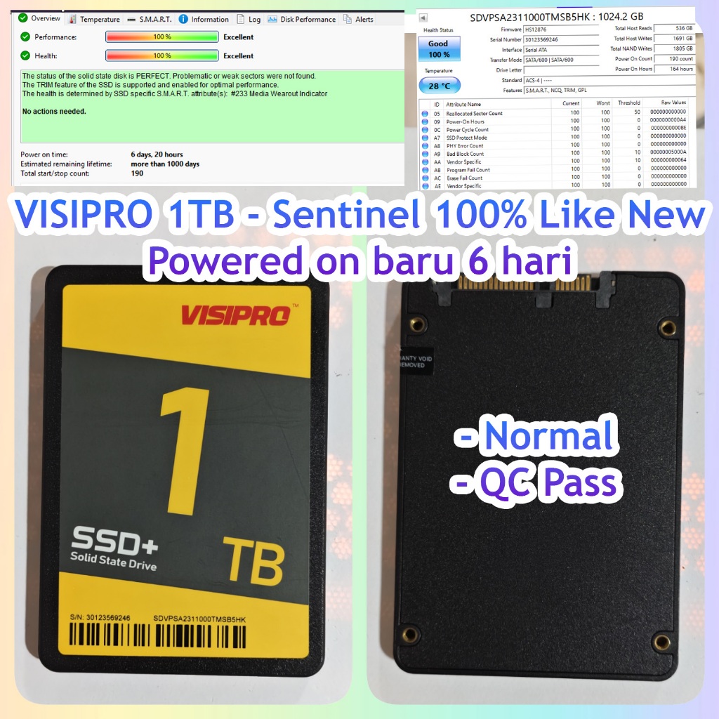 SSD Visipro 1TB Sentinel 100% 1 TB Second Bekas SATA Visi Pro Murah 1000 SSD Bekas Second Seken Copo