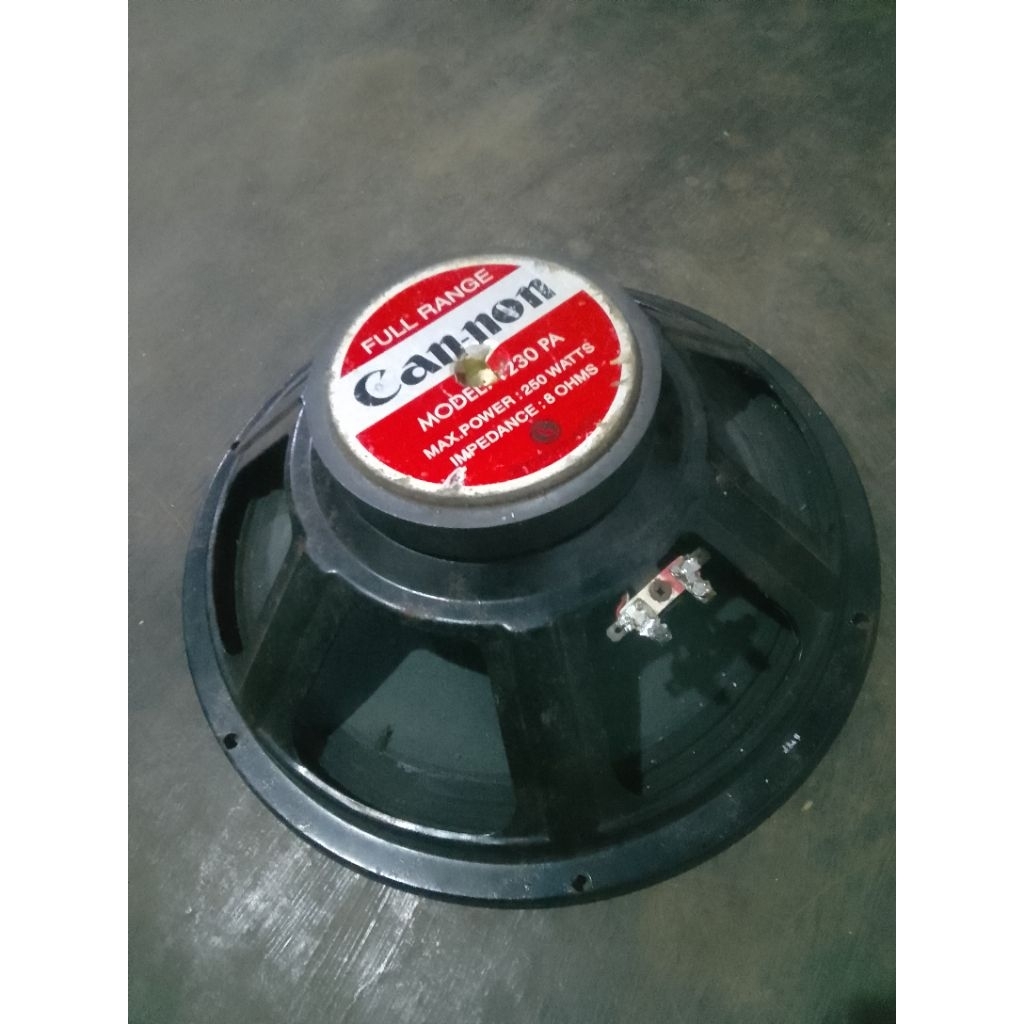 Speaker Canon 12Inch Fullrange Sepulan