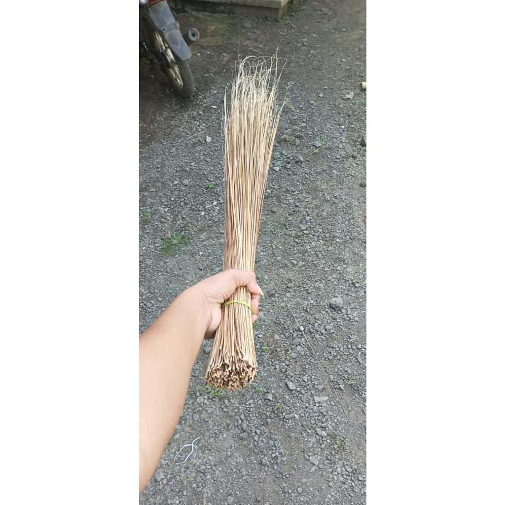 SAPU LIDI ASLI/SAPU LIDI /SAPU LIDI HALAMAN/SAPU LIDI KASUR/SAPU LIDI KARPET