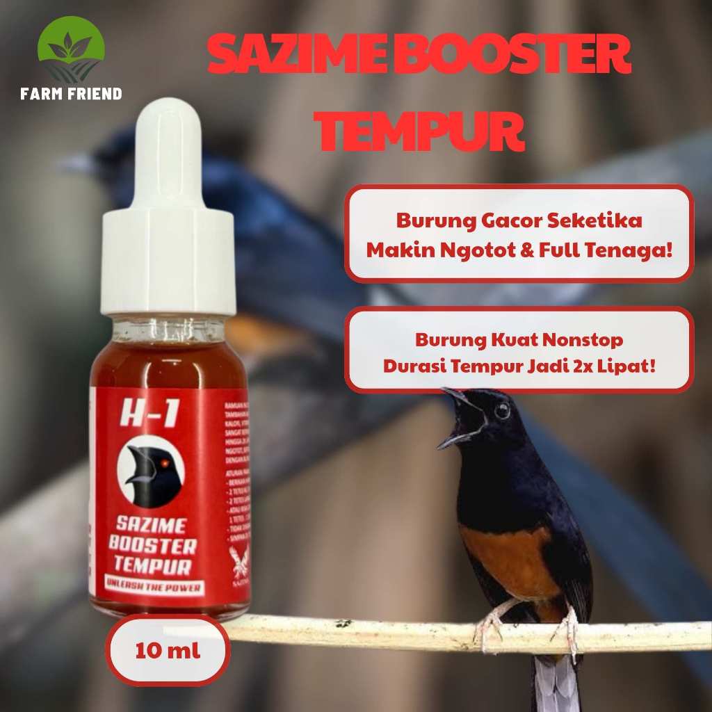 Suplemen Cair Penggacor Burung Lomba H-1 – Booster Stamina dan Suara Ngotot untuk Murai Batu Cucak I