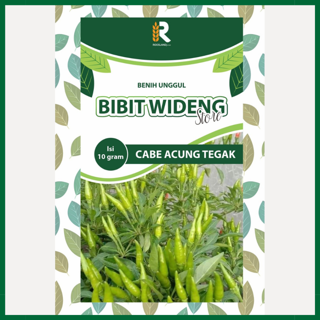 ( 10 GRAM ) BENIH CABE RAWIT ACUNG CAPLAK | RAWIT TEGAK | RAWIT HIJAU ACUNG TEGAK